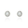 Cachet Silver Tone Oval CZ Cluster Stud Earrings - J74226