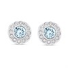 Crystal Allure Aqua Crystal Stud Earrings - J8065
