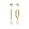 Radley RYJ1606S Gold Tone Immitation Pearl Earrings Set - J81911