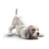 Lladro 01009135 Playful Puppy - P4305
