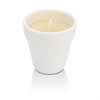 Lladro 01017307 Toucans Lithophane Votive Light - P4377