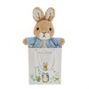 Beatrix Potter A30807 Peter Rabbit In Gift Bag - P87128