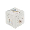 A32191 My 1st Money Box Peter Rabbit - P87149