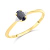 9ct Gold Black Sapphire And Diamond Ring - R0209