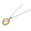 9ct Gold Two Colour Oval Leaf Locket And Chain - R7246