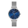 Skagen SKW2307 Anita Lille Mesh Bracelet Watch - W0679