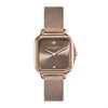 Olivia Burton 24000088 Grosvenor Mesh Bracelet Watch - W28231