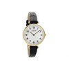 Limit 6494.01 Gold Plated Black Strap Watch - W77165