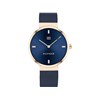 Tommy Hilfiger 1782219 Gold Plated Blue Mesh Bracelet Watch - W95180