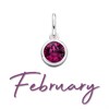 Silver Purple Cubic Zirconia Birthstone Charm - February - Z4202
