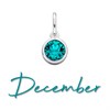 Silver Turquoise Cubic Zirconia Birthstone Charm - December - Z4212